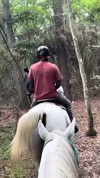 Horse back Riding | Cypress Trails Ranch | Outdoor adventure