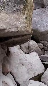 226K views · 1.4K reactions | When we say, "Fishing Challenge" we're usually talking about our Cutt-Slam, or Master Angler programs. However, an angler shared this video with Game Warden Travis Crane, and it shows a more unusual fishing challenge. The fisherman was fishing below the Buffalo Bill Dam on the Shoshone River when he encountered a mink that wanted to catch a fish just as badly as the angler. Take a look. | Wyoming Game and Fish Department | Facebook