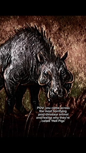 The Very Extra Ordinary on Instagram: "Entelodontidae is an extinct family of pig-like artiodactyls which inhabited the Northern Hemisphere about 38-19 million years ago. They were more commonly known as ‘hell pigs”, The largest member of this family, daeodon, was dubbed “terminator pig”. Follow my page for daily old Earth prehistoric horror videos! #prehistoric #extinct #oldearth #scary #prehistoricanimals #horror #entelodont #daeodon #hellpig #extinctanimals"