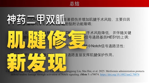iMeta | 河南中医药大学孙晓波组-报道二甲双胍改善糖尿病肌腱损伤