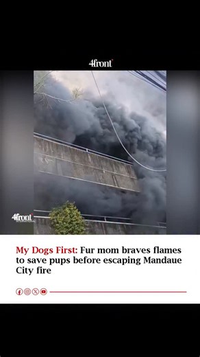 4frontMedia on Instagram: "A resident of Mandaue City, Cebu, displayed extraordinary bravery and devotion when a fire broke out and quickly engulfed their home. Dubbed a "fur mom," the woman's immediate and selfless priority was the safety of her beloved dogs. Witnesses and subsequent reports indicate that she focused solely on rescuing all of her pets from the burning structure before ensuring her own escape. This act of heroism came at a high risk, as the blaze was significant enough to ultima