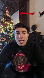 My Christmas greeting to all - the illegals, the invaders, the Somalis, the liberals and everyone else! God Bless! 🎄 | Joey Mannarino