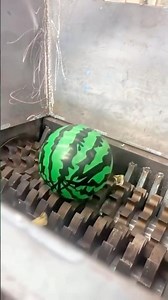 Watch This Toy Car & Watermelon Get Destroyed by a Shredder! 😱🔥