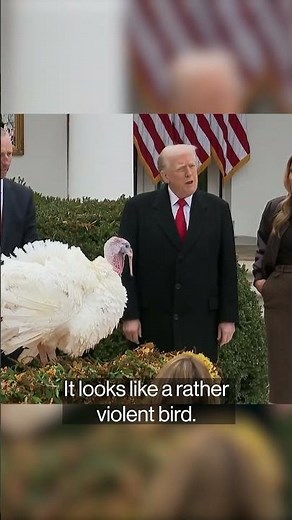 Trump pardons Thanksgiving turkeys Gobble and Waddle