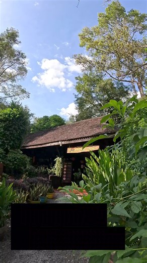 1K reactions · 178 shares | Reconnect with Nature  | Angkor Zipline | Facebook