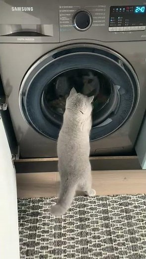 Sofia and the Washing Machine 😍