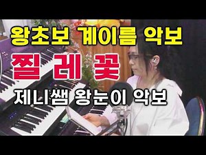전자올겐 배우기 [왕초보 특강] "질레꽃" 계이름 악보로 쉽게 배우고 즐기세요 | 악보 무료 제공 | 피아노 못쳐도 OK | 5070 취미 | 왕초보 탈출