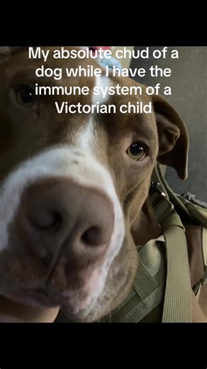 Pirate (@jelly_edits67)’s videos with Uncle Ruckus Theme - Aziah