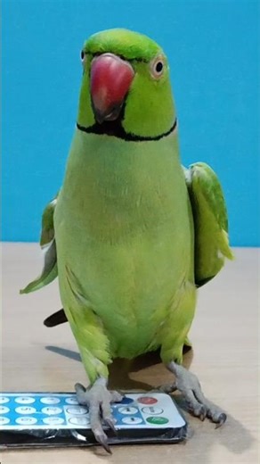 Discovery channel 😂🤣