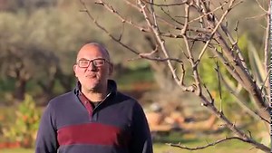 🌳🍎🍐 Ποια εποχή κλαδεύουμε κάθε δέντρο και με ποιο τρόπο; Το κλάδεμα δυναμώνει τα καρποφόρα δέντρα και ενισχύει την παραγωγή τους. Στο σημερινό βίντεο, θα αναφερθούμε στις βασικές οδηγίες για το σωστό κλάδεμα των καρποφόρων δέντρων, ποια εποχή κλαδεύουμε και ποια εργαλεία χρησιμοποιούμε για να διατηρήσουμε τα δέντρα υγιή και να αυξήσουμε την καρποφορία τους. ▶️ Κάνε εγγραφή στο κανάλι μας στο youtube και δες περισσότερα βίντεο με συμβουλές για τα φυτά και τον κήπο: https://www.youtube.com/mist