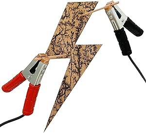 Spring Clamps 2PCS,Battery Clips for Lichtenberg Machine Lichtenberg Wood Burning Fractal Burner for Neon Sign Transformer Lichtenberg Machine