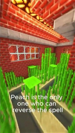 Did you know the real reason why Bowser kidnaps Peach?