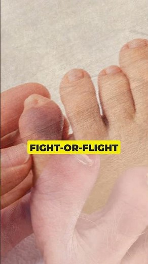 Can Swearing Really Stop Pain?