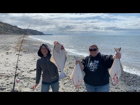 Can We Catch Limits Of Halibut From Shore? Surf Fishing Alaska
