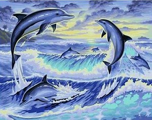 Dolphins playing