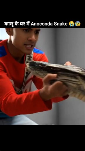 Franklin Ke Ghar Anaconda 😰🤯 || Indian Bike Driving 3D || #indianbikegame #gta #shortsfeed