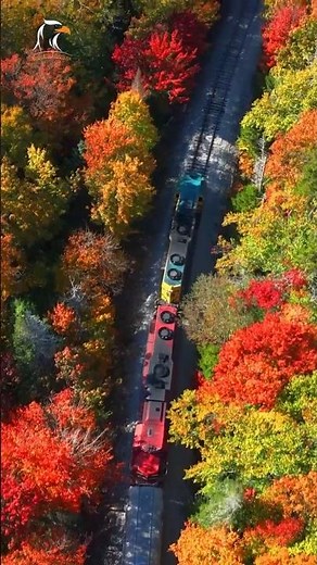 New England Fall Foliage 2025 || 🍁 Experience the Magic of New England Fall Foliage! 🍂-2