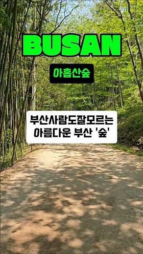 부산여행 아름다운 숲 지정 아홉산숲