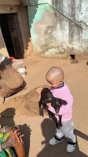 The Science of Baby Goat Cuteness