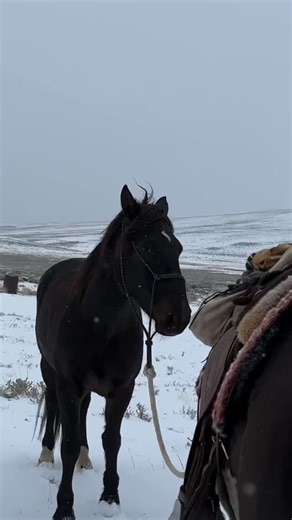 Jake Harvath on Instagram: "It got a little cold towards the end. Here’s us crossing Wyoming and Idaho last year."