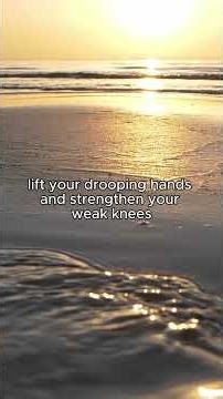 "The LORD disciplines the one he loves" | Hebrews 12