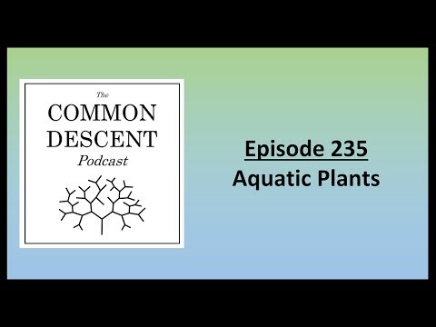 Episode 235 - Aquatic Plants