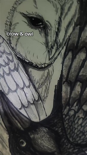 Exploring Art through Crow and Owl Sketches