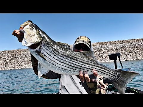 Big Striper Fishing at Diamond Valley Lake
