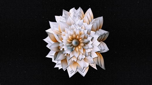 Flower, Particles, Abstract. Free Stock Video