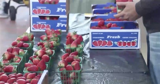 Alachua County introduces potential solution for east Gainesville food insecurity