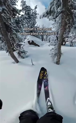 what do you think? #skiing | Ski