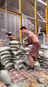 Carrying Cement Bags. #ConstructionWork #HardWork #SandbagLifting | Romio Romio