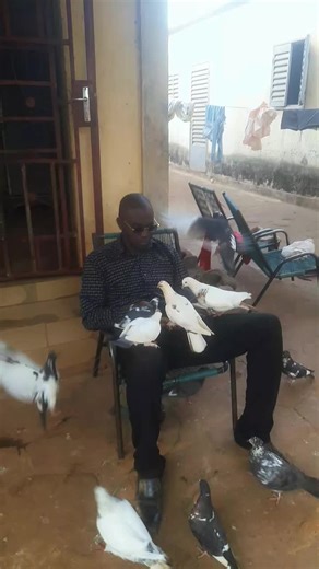 #aidons_nous_vivant #volaille #tiktokmali🇲🇱223 @Nola Barry @L’HABY @Sidibé Mamassira Keïta @PERLE RARE 🖤♠️🇲🇱 @Mounichka 223 🇲🇱 @La Chacha @AC3D