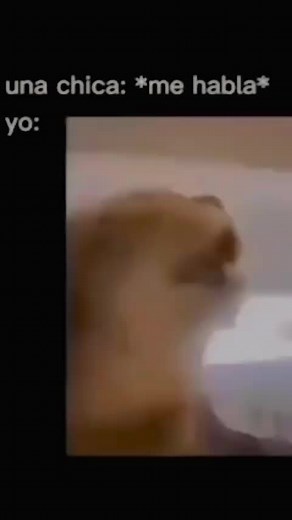 Videos de 𝐅𝐎𝐗𝐈 (@foxi_by12) con “sonido original - 𝐅𝐎𝐗𝐈”