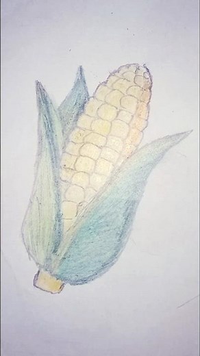 Beautiful Corn Drawing | Easy for Beginners | Simple Corn Art Tutorial #drawingbirds #wilddrawing
