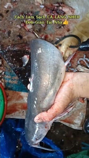 Learn how to clean CATFISH at home when you watch this video 👉👍👍 #shorts