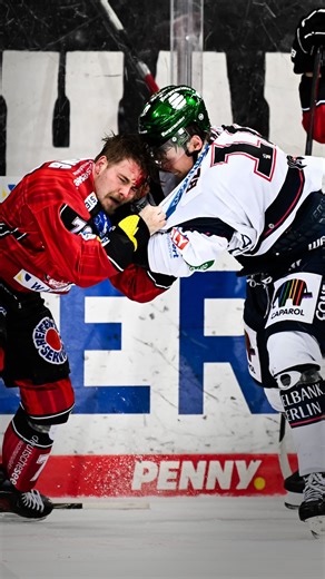 MAGENTA SPORT on Instagram: "Trotz des Kampfgeists von Lean Bergmann mussten sich die Eisbären geschlagen geben. Bremerhaven gewann mit 6:4. 🏒 Alle Spiele der PENNY DEL siehst du LIVE bei #MagentaSport! 📺 #sportistmagenta #eishockey"