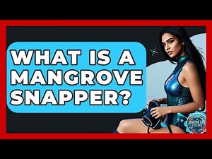 What Is A Mangrove Snapper? - The Marine Life Explorer