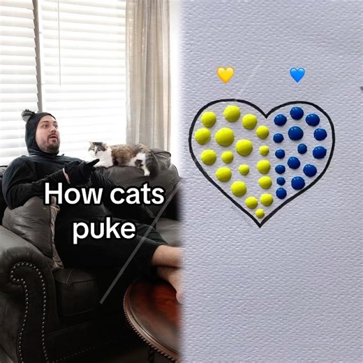 How cats puke🤣 #cats #pets #cat