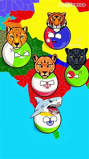 The Epic Battle: Bharat vs Muslim Nations 🌍 #countryballs #geopolitics #shorts