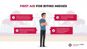 Applying First Aid for Biting Midges