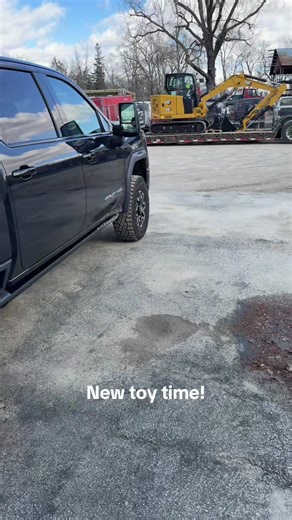 Time to dig some holes. #cat #timetodig #poolseason | cats