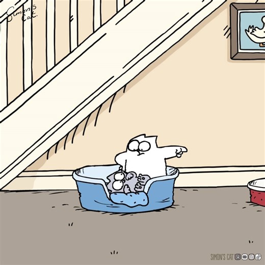 Co-sleeping for cats! 😽 | Simon's Cat