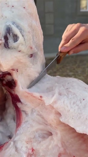 Massive Mutton Breakdown: Pro Butcher's Sheep Cutting Skills