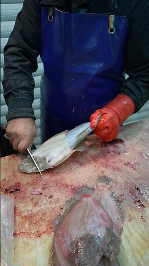 Dover Sole Skin Removal