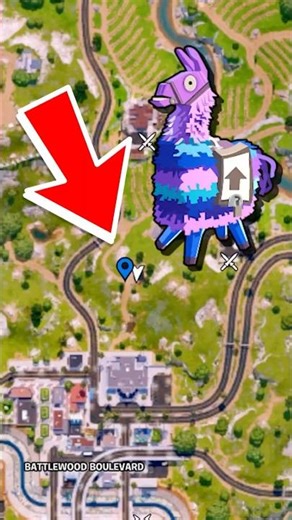Llama location in Fortnite Chapter 7, Season 2