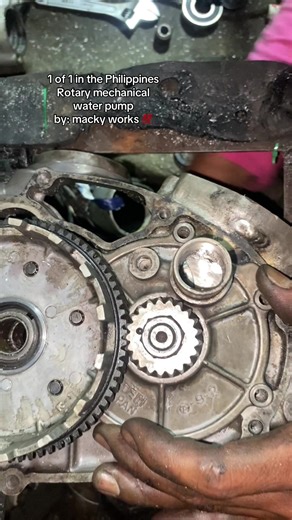 Exploring Rotary Mechanical Water Pumps in the Philippines