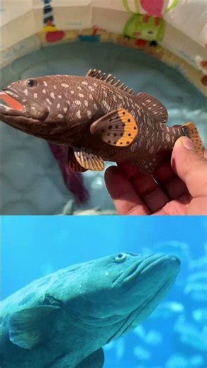 Ocean Animals for Kids: Learn Names and Fun Facts with Sea Creature Toys