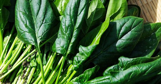 Comment congeler des épinards frais ?