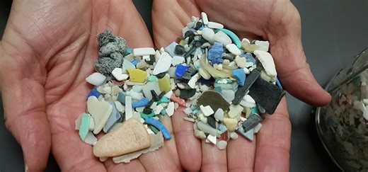 Great Lakes microplastics concentrations exceed safe levels for wildlife | Great Lakes Now